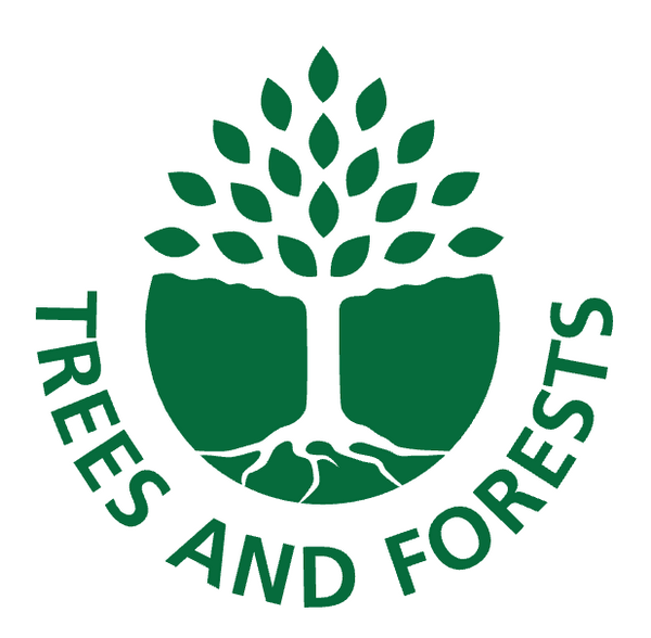 Plant Your Place! / Un arbre chez vous!